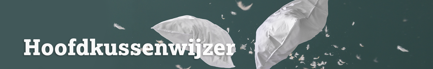 Header hoofdkussenwijzer