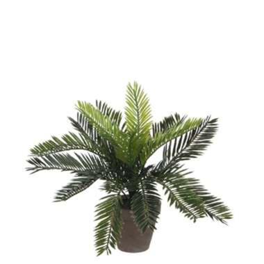 Bellatio flowers & plants Kunstplant - cycaspalm - in pot - 33 cm product