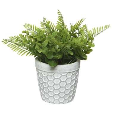 Decoris Kunstplant - varen - in witte pot - 25 cm product