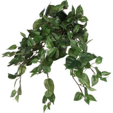 Mica Decorations Kunstplant - scindapsus drakenklimop - groen - 45 cm product