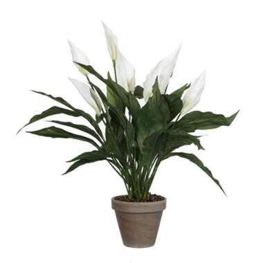 Mica Decorations Kunstplant - spathiphyllum lepelplant - wit - 50 cm product