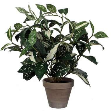 Mica Decorations Kunstplant - cordyline - groen - in pot - 25 x 33 cm product