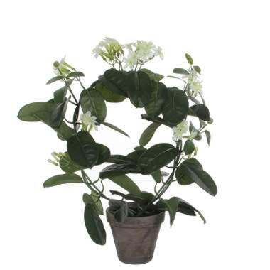 Mica Decorations Kunstplant - stephanotis bruidsbloem - wit - 50 cm product