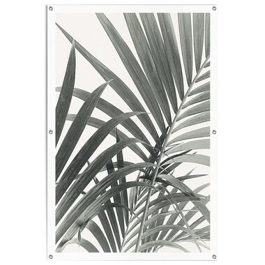 Tuinposter - Palmbladeren - 120x80 cm Canvas product