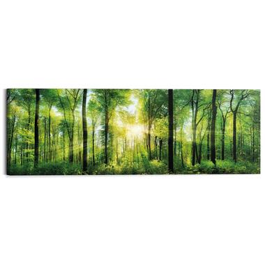 Schilderij Zomer bos - 40x118cm - Groen product