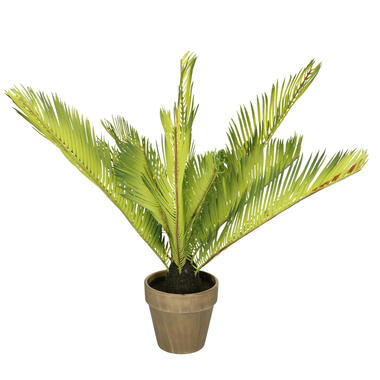 Kunstplant Palmvaren - groen - in pot - 50 cm product