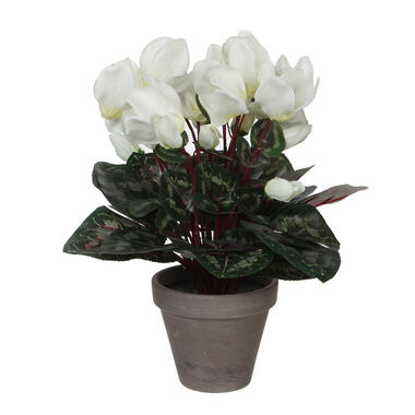 Mica Decorations Kunstplant - cyclaam - wit - in pot - 30 cm product