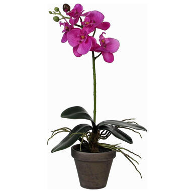 Mica Decorations Kunstplant - phalaenopsis orchidee - paars - 48 cm product