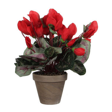 Mica Decorations Kunstplant - cyclaam - rood - in pot - 30 cm product