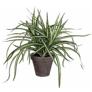 Mica Decorations Kunstplant - Dracaena - groen - in pot - 34 cm product