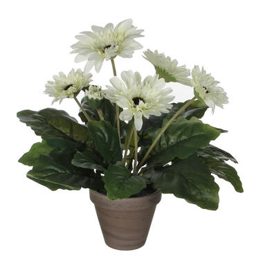 Mica Decorations Kunstplant - gerbera - wit - in pot - 35 cm product