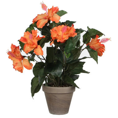 Mica Decorations Kunstplant - hibiscus - oranje - in pot - 30 x 40 cm product