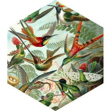 ESTAhome muursticker - vogels - tropisch junglegroen - 70 x 81 cm - 158999 product