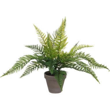 Mica Decorations Kunstplant - varen - groen - 36 x 40 cm product