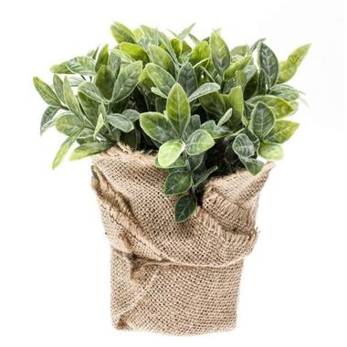 Bellatio flowers & Plants Kunstplant - munt kruiden - groen - 19 cm product