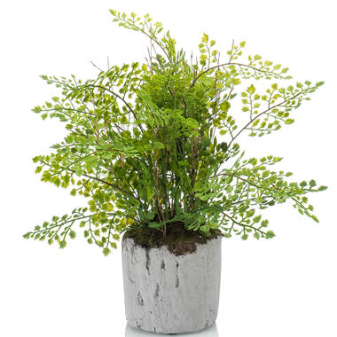 Emerald Kunstplant - varen - groen - in pot - 30 cm product