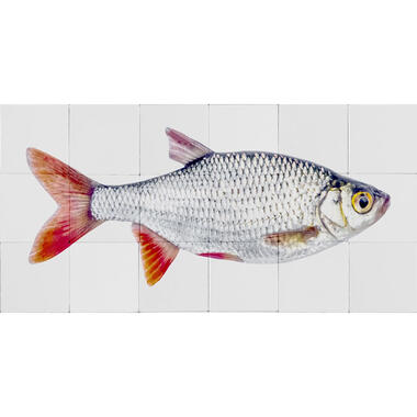 ESTAhome muursticker - vis - grijs en rood - 97 x 48,5 cm - 159029 product