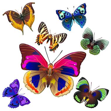Sanders & Sanders muursticker - vlinders - roze, blauw en geel - 30 x 30 cm product