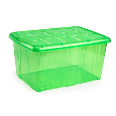 Forte Plastics Organizer - groen - deksel - 60 l - 63 x 46 x 32 cm product