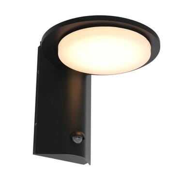 Steinhauer Buitenlamp Luzon incl. LED 1 lichts dag nacht sensor zwart product