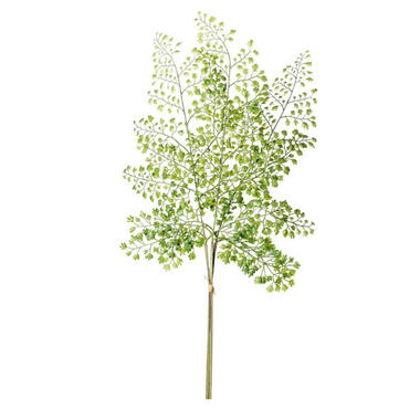 Kunstplant Venushaar - tak - Adiantum - groen - 58 cm product