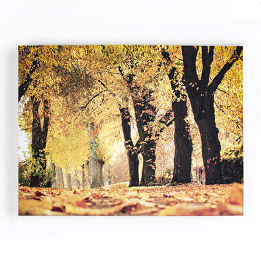 Art for the Home - Canvas - Herfst - 100x75cm product