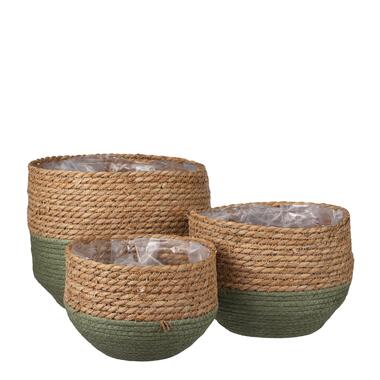 Mica Decorations Jorck Mand voor Planten - Set van 3 - Groen product