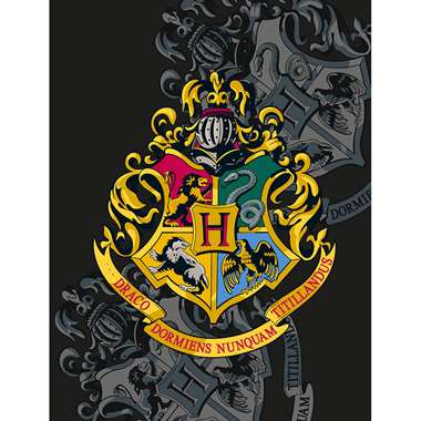 Harry Potter Fleecedeken Hogwarts School - 130 x 170 cm - Polyester product