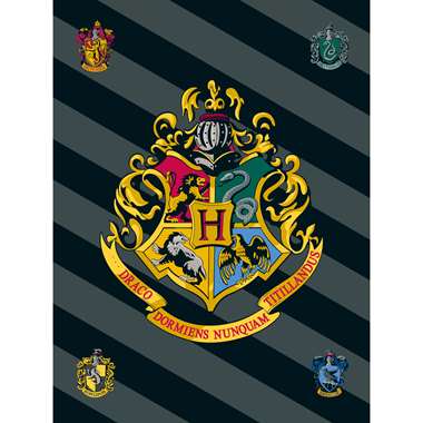 Harry Potter Fleece deken Logo - 100 x 150 cm - Polyester product