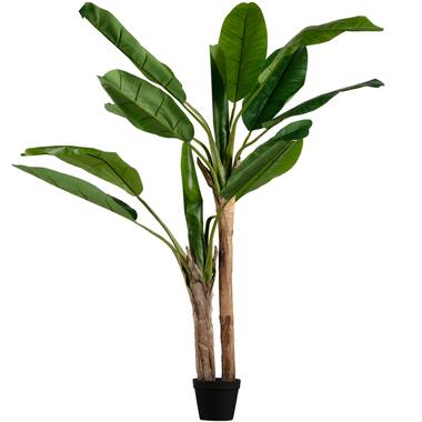 WOOOD Bananenplant Kunstplant - Groen - 97x138x95 product