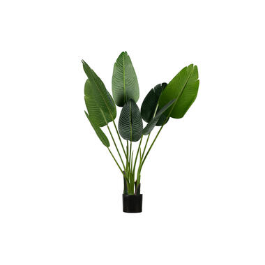 WOOOD Strelitzia Kunstplant - Groen - 61x108x50 product