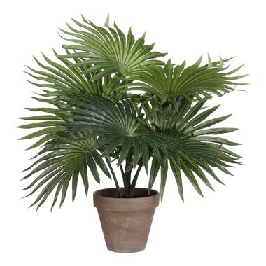 Mica Decorations Palm Kunstplant - H40 x Ø35 cm - Groen product