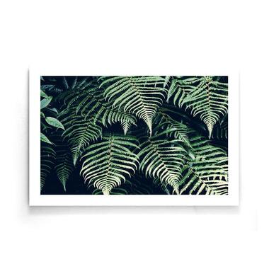 Walljar - Fern Leaves - Poster / 50 x 70 cm product