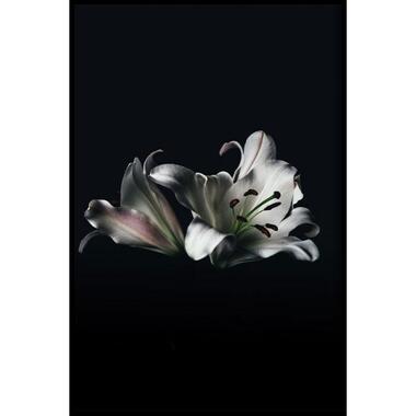 Walljar - Witte Lelies - Poster met lijst / 30 x 45 cm product