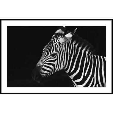 Walljar - Zebra - Poster met lijst / 50 x 70 cm product