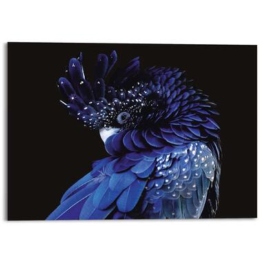 Glasschilderij Blauwe Papegaai 100x140 cm Blauw Acryl product