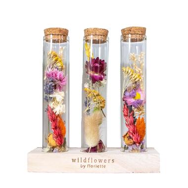 3x Droogbloemen in glas – Meerkleurig – Incl. fles – Maat L – ↕15 cm product