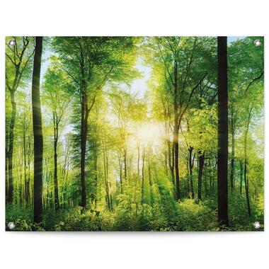 Tuinposter - Zomer bos - 60x80 cm Canvas product