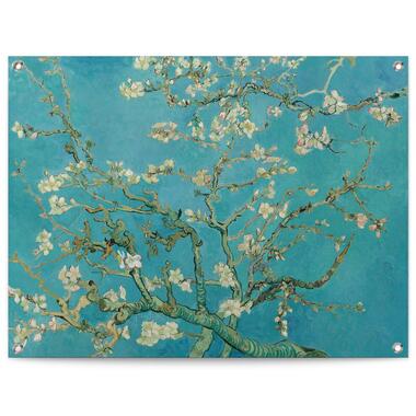 Tuinposter - Van Gogh Amandelbloesem - 60x80 cm Canvas product