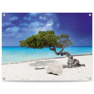 Tuinposter - Tropisch Eiland - 60x80 cm Canvas product