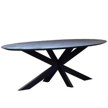 - Eettafel Zwart Ovaal - 240x110x78cm - Diamond product