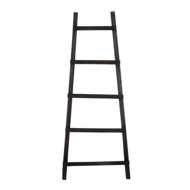 House of Seasons Ladderrek - L29 x B49 x H119 cm - Zwart product