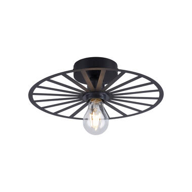 Paul Neuhaus Plafondlamp Isabella - Ø 30 cm - zwart product