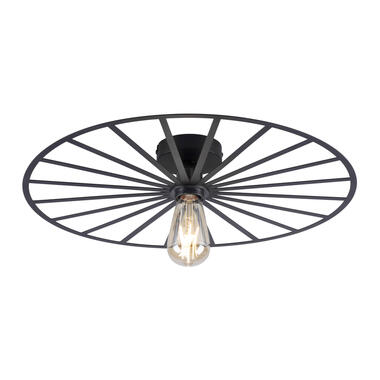Paul Neuhaus Plafondlamp Isabella - Ø 50 cm - zwart product