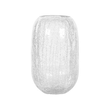Beliani Bloemenvaas KYRAKALI - Transparant glas product