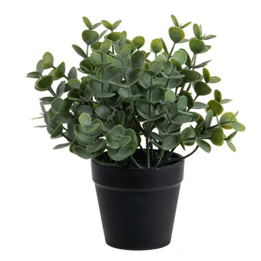 Louis Maes Eucalyptus Kunstplant - in pot - groen - H20 cm product