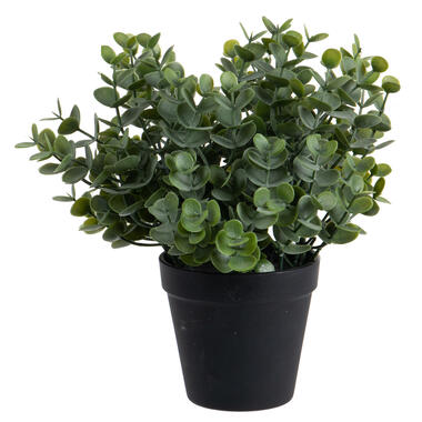 Louis Maes Eucalyptus Kunstplant - in pot - groen - H28 cm product