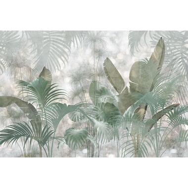 Komar fotobehang - Paillettes Tropicales - vergrijsd groen - 368 x 248 cm product