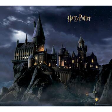 Sanders & Sanders fotobehang - Harry Potter Zweintstein - zwart en donkerblauw product