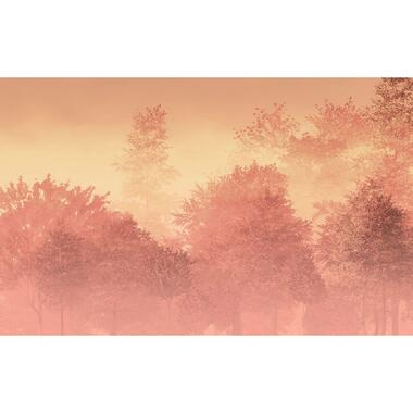 Komar fotobehang - Heartwood - perzik oranje roze - 400 x 250 cm - 611232 product